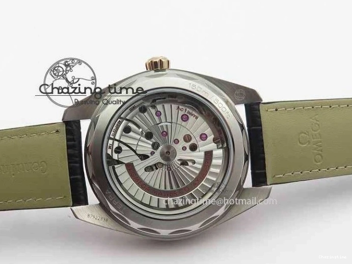 0202 2017 Aqua Terra SS RG XF Best Edition White Textured Dial On Black Leather Strap A Functional 8157